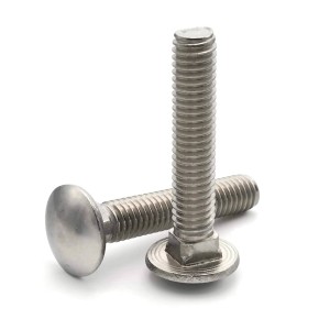 Carriahe Bolts
