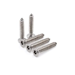 Torx Anti-Theft Countersunk Head Tapping Screw