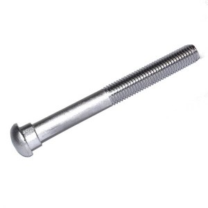 Track Bolt