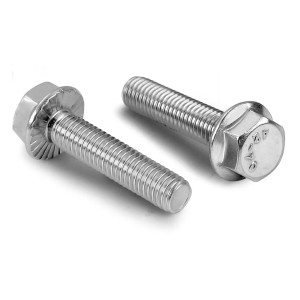 Hexagon Flange Bolt/ Frame Bolts