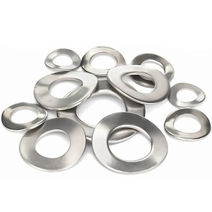 Curved Spring Washers