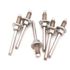 Custom Rivets