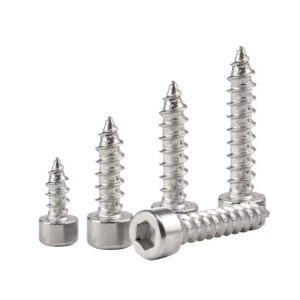 Hex Socket Cheese Head Self Tapping Screw
