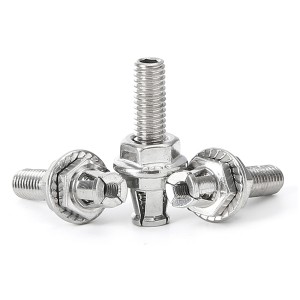Precession Type Back Anchor Bolt